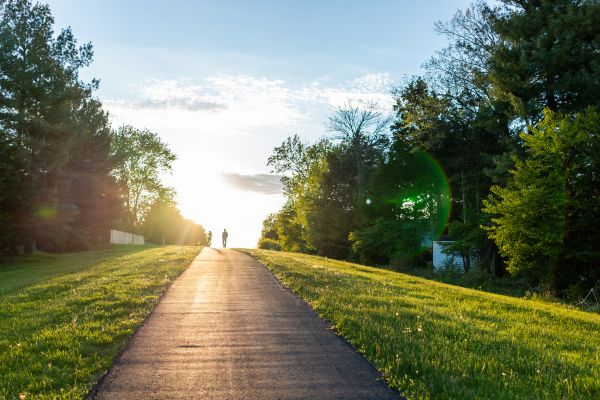 Asphalt Pathway Installation in Sherman