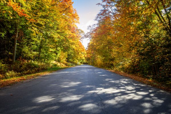Blacktop Replacement in Sherman